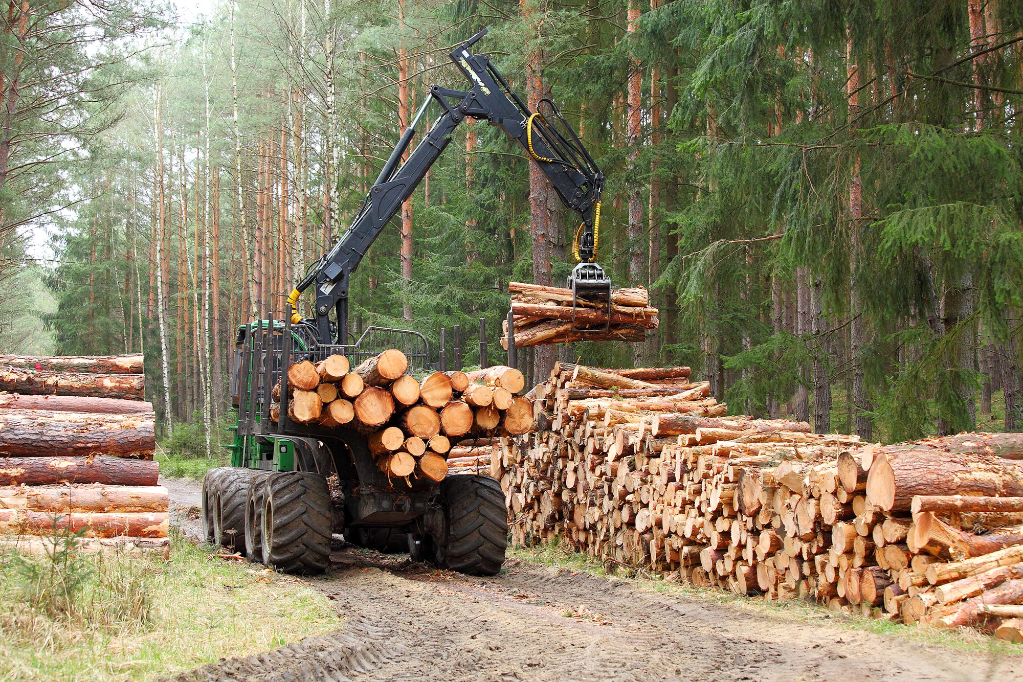 EU to exclude deforestation products from the supply chain – European Commissioner