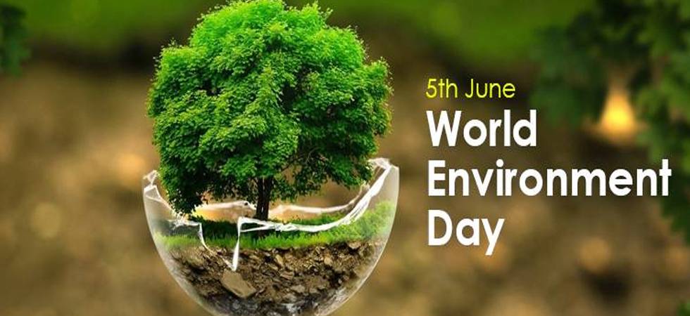 How can each of us celebrate World Environment Day