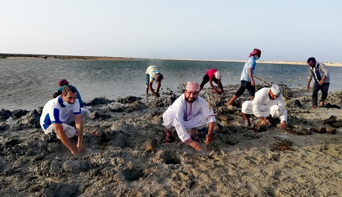 Nearly 1000 mangrove saplings planted in Oman