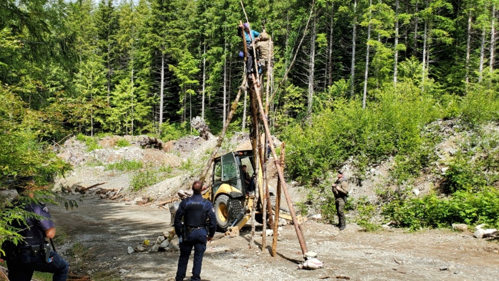 ‘War in the woods’. Hundreds of anti-logging protesters arrested in Canada