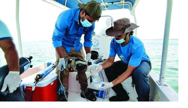 Qatar ministry launches the second phase of study on the cause of fish deaths in Khor Al Adaid area
