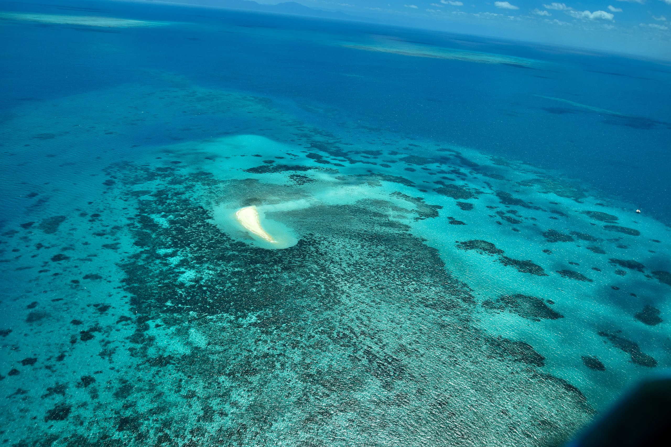 World Heritage Committee agrees not to place Great Barrier Reef on ‘in danger’ list