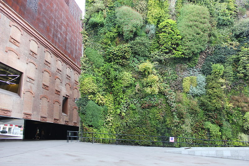 Vertical gardens in the city: how to green up your apartment building creatively