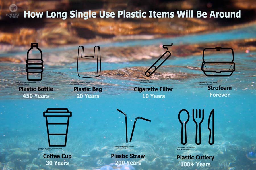 Single-Use Plastics: sleepwalking into an environmental catastrophe