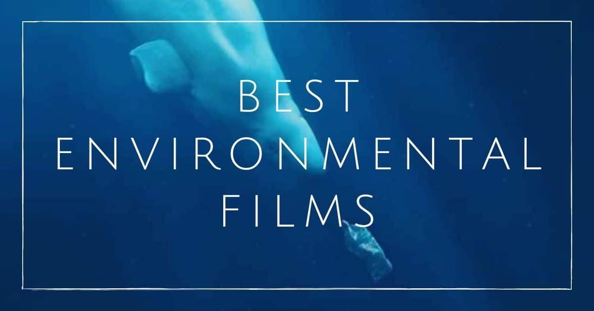 Top 16 of Best Environmental Films of recent years