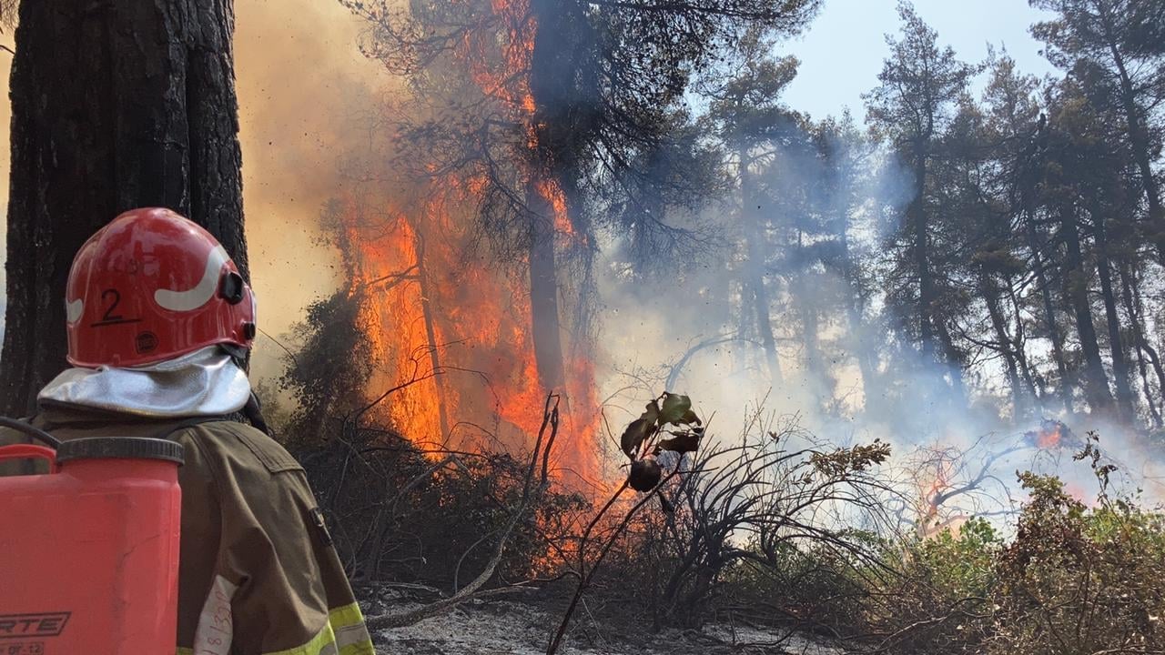 Greece burning: “unprecedented natural disaster”