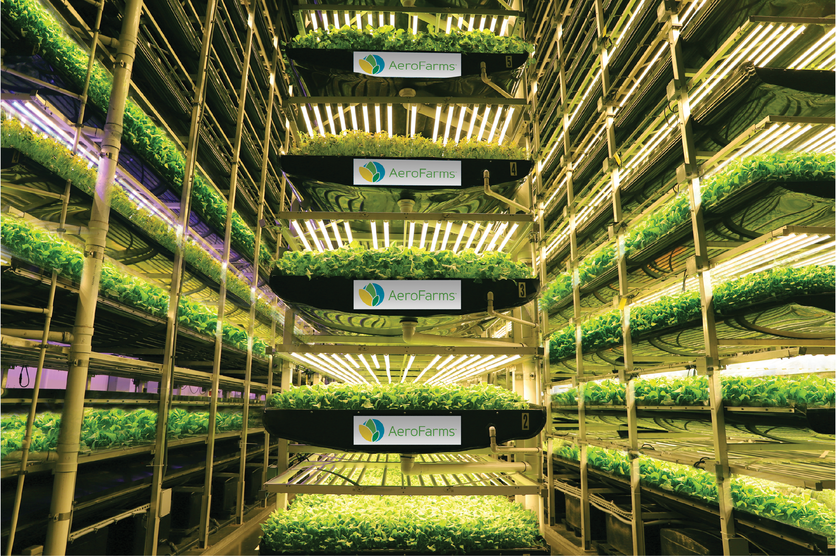 World’s biggest vertical farming R&D center breaks ground in Abu Dhabi