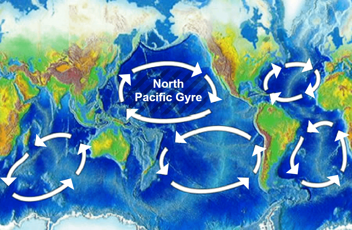 “Plastisphere” ecosystem evolving at sea and “garbage islands”