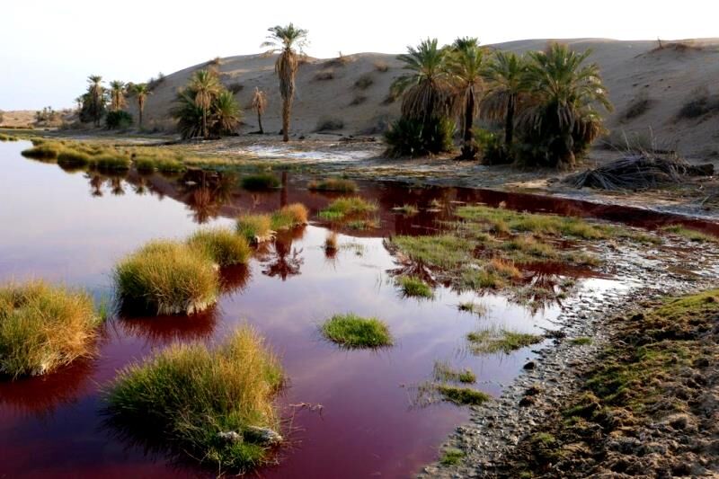 Natural wonders of Iran: Jaazmoorian Red-Water Pond, a miracle at desert’s heart