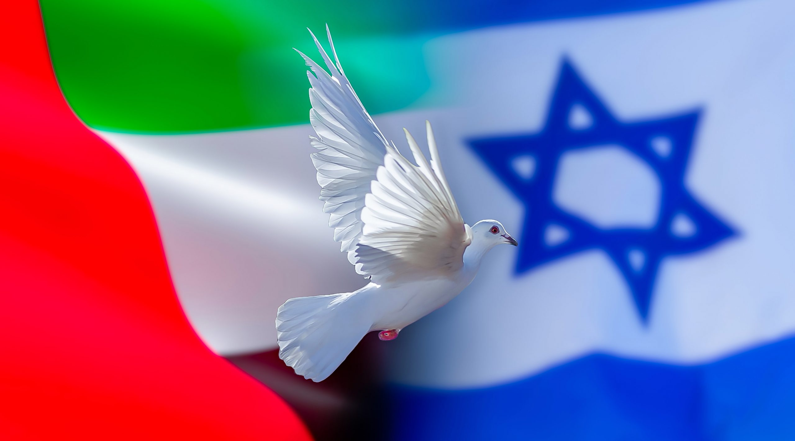 A new energy future fueled by Emirati and Israeli peace
