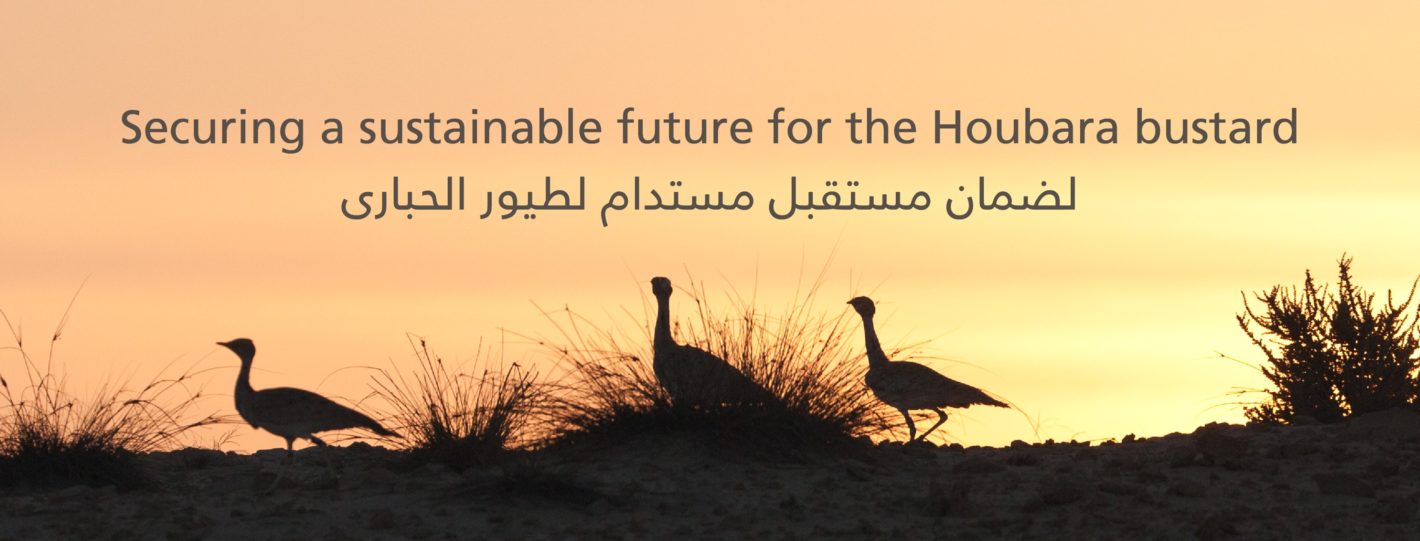 IFHC and the Emirates Schools Establishment published a book to celebrate the work of UAE young conservationists