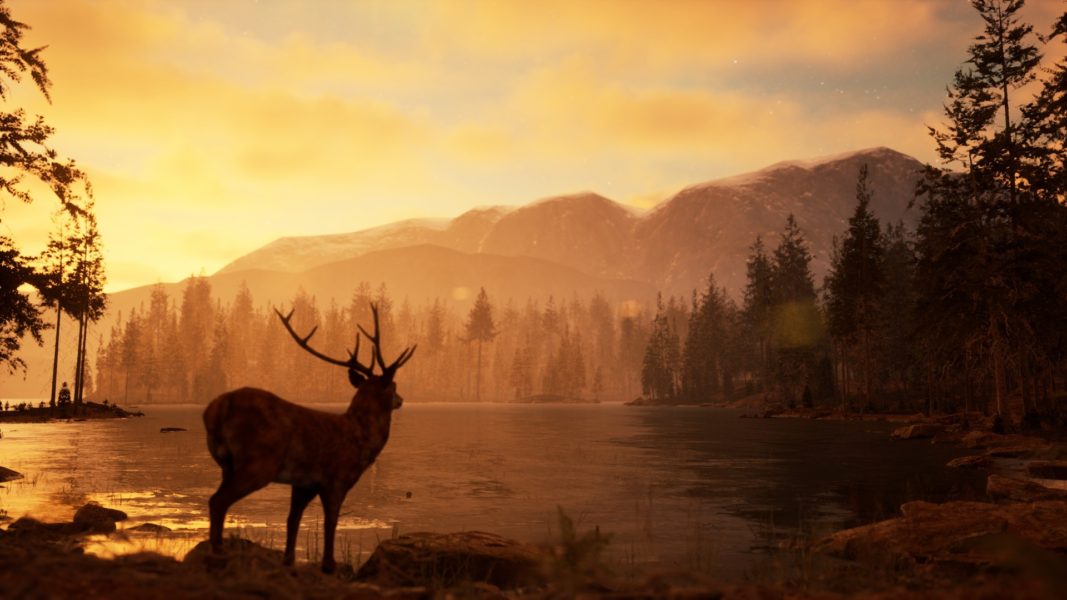 A new PC game – a simulator of photography of wildlife created