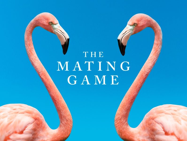 Pandemic forces BBC into a new approach for David Attenborough’s The Mating Game series