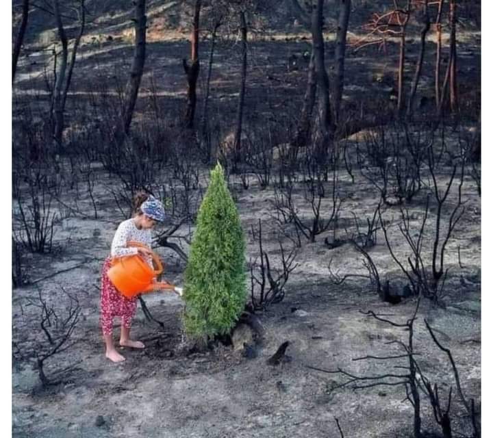 Turkey on the precipice of climate disaster as lakes dry and forests burn