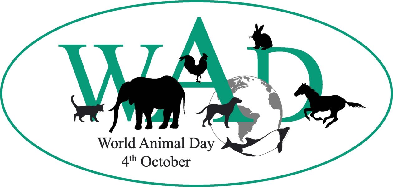 October 4: let’s celebrate World Animal Day