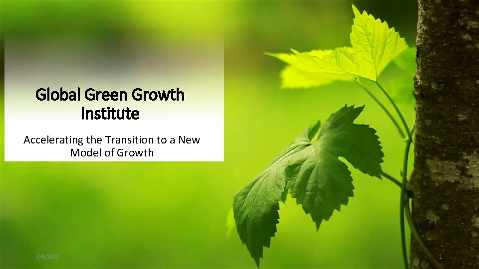 UAE to contribute US$3 million in support of Global Green Growth Institute projects