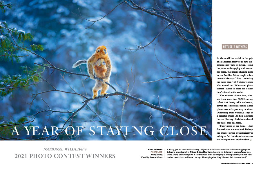 National Wildlife’s 2021 Photo Contest Winners
