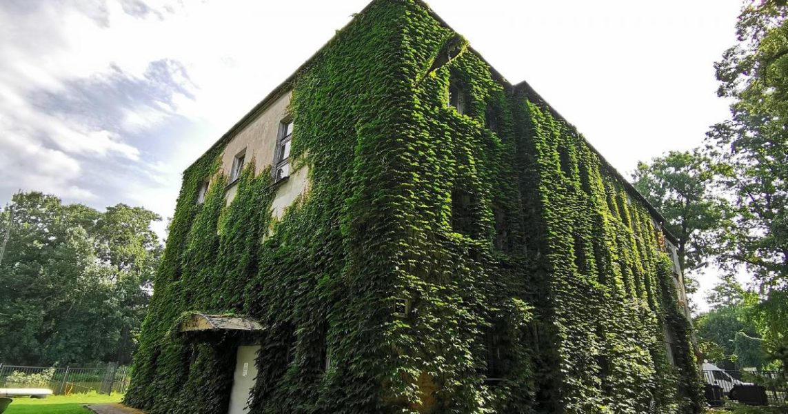 The Polish city will exempt residents of green homes from the tax