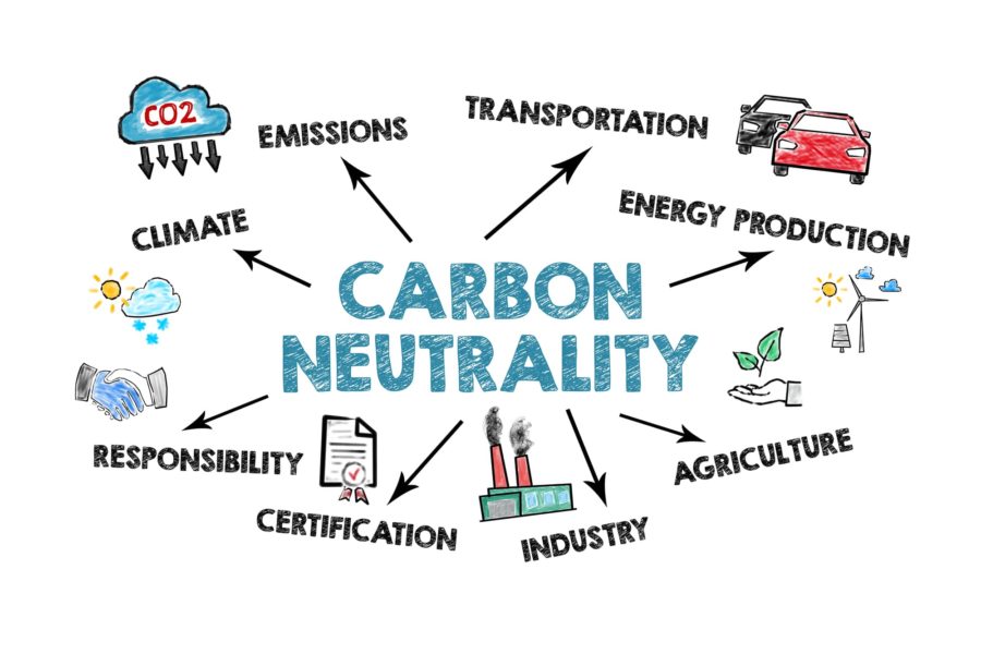 Race to net-zero: what the world will look like after the decarbonization of 2050