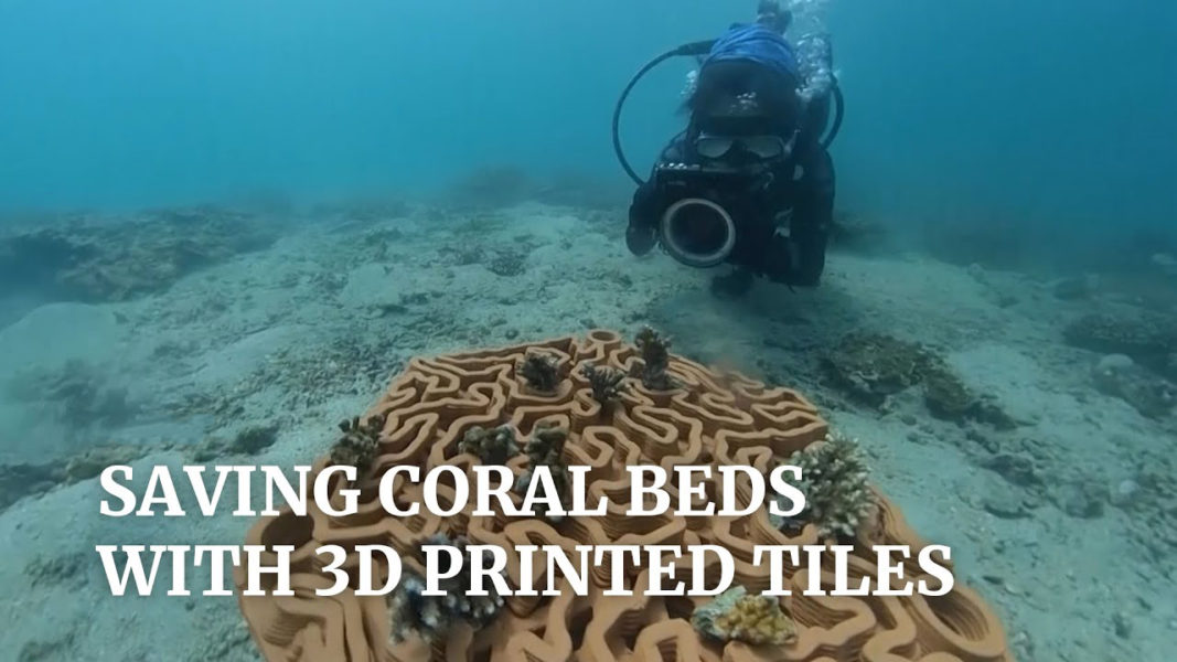 In the United States, corals are printed on a 3D printer: this can save coral reefs