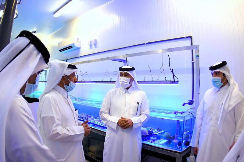 Qatargas completes environmental project to protect Qatar’s marine biodiversity