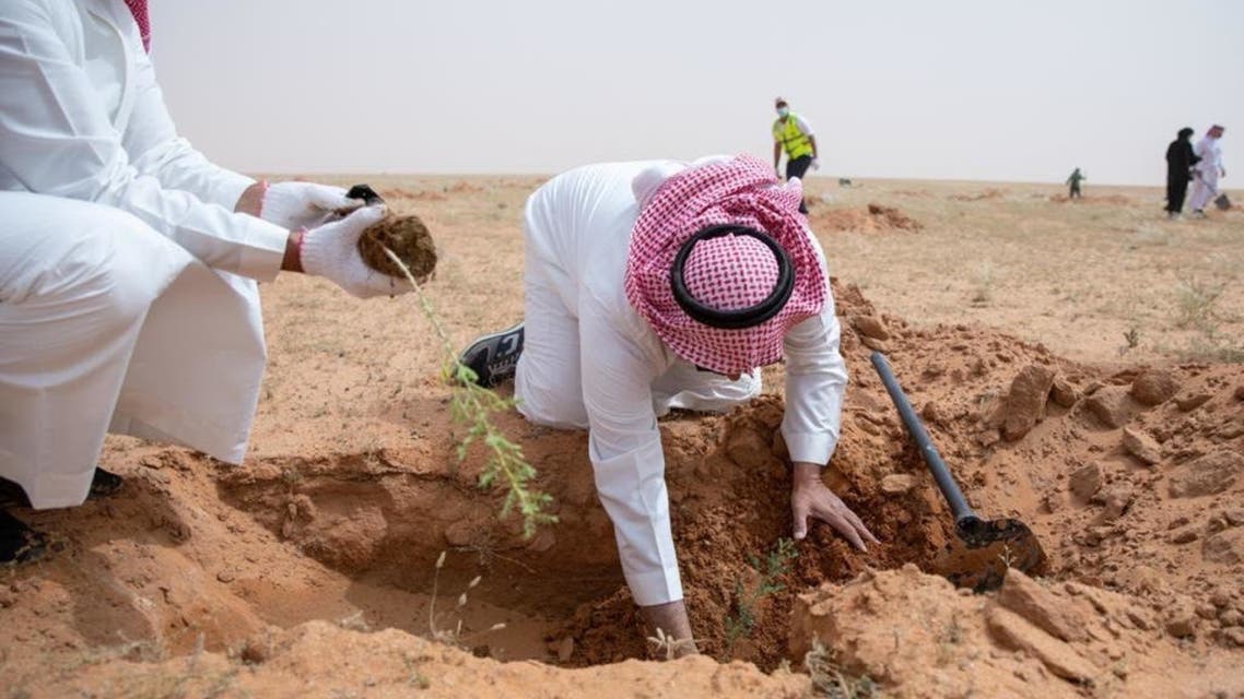 Fareed Bader group of companies backs national afforestation campaign in Bahrain