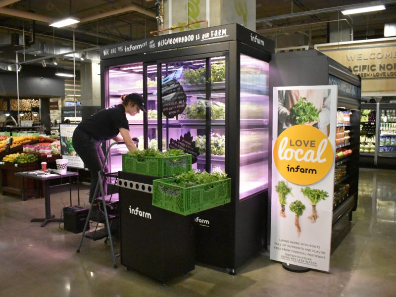 Dutch urban farming startup gets backing from Qatar wealth fund