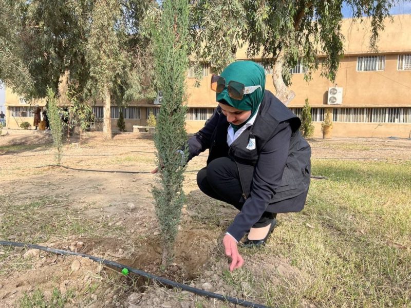 ‘Green Mosul’ initiative planting over 5,000 trees