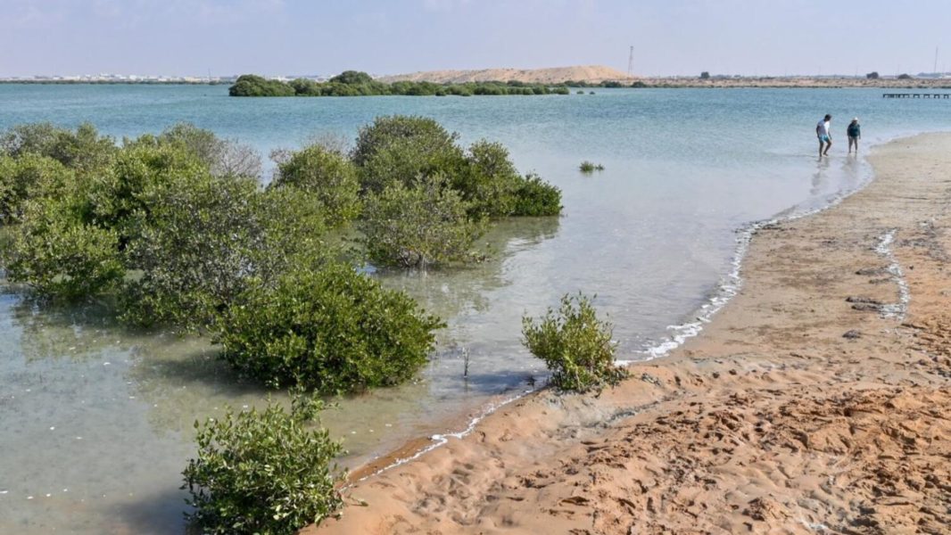UAE: Swim with horses, camp on white beaches at this hidden gem in Umm Al Quwain