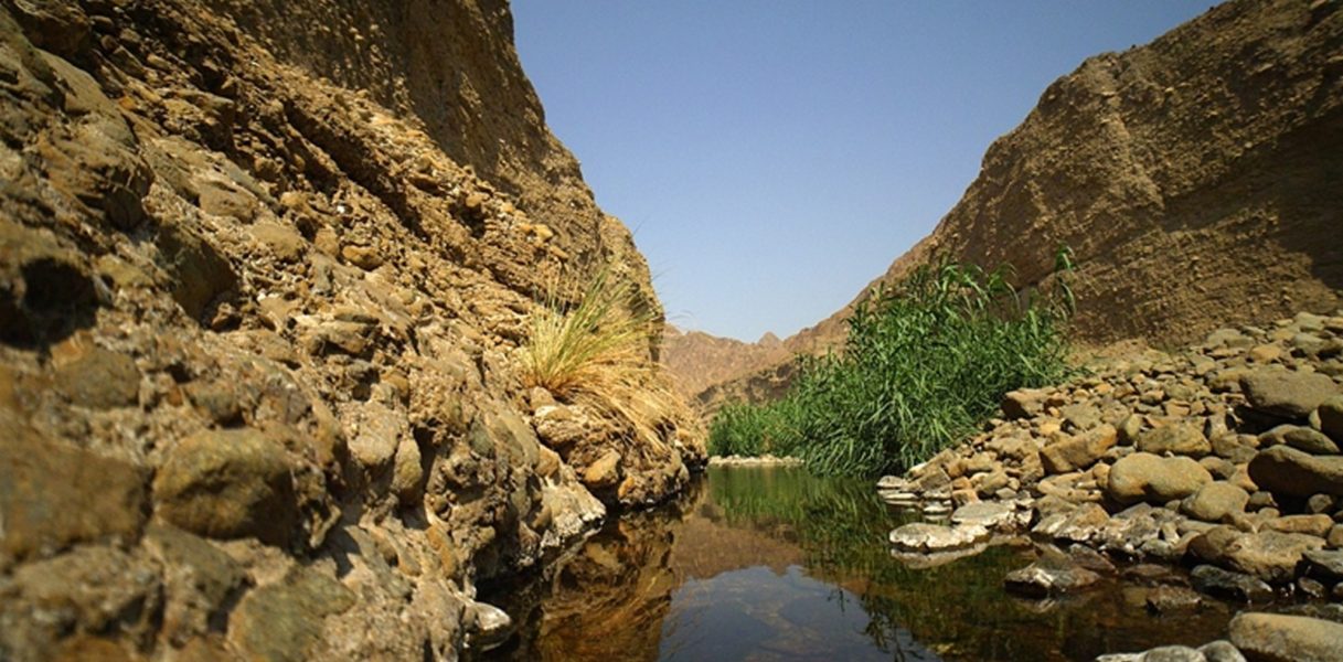 UAE’s Wadi Wurayah National Park nominated as World Heritage Site