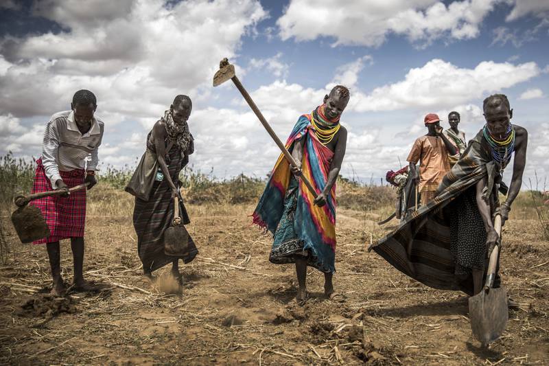 Millions at risk as parched Horn of Africa faces severest drought since 1981