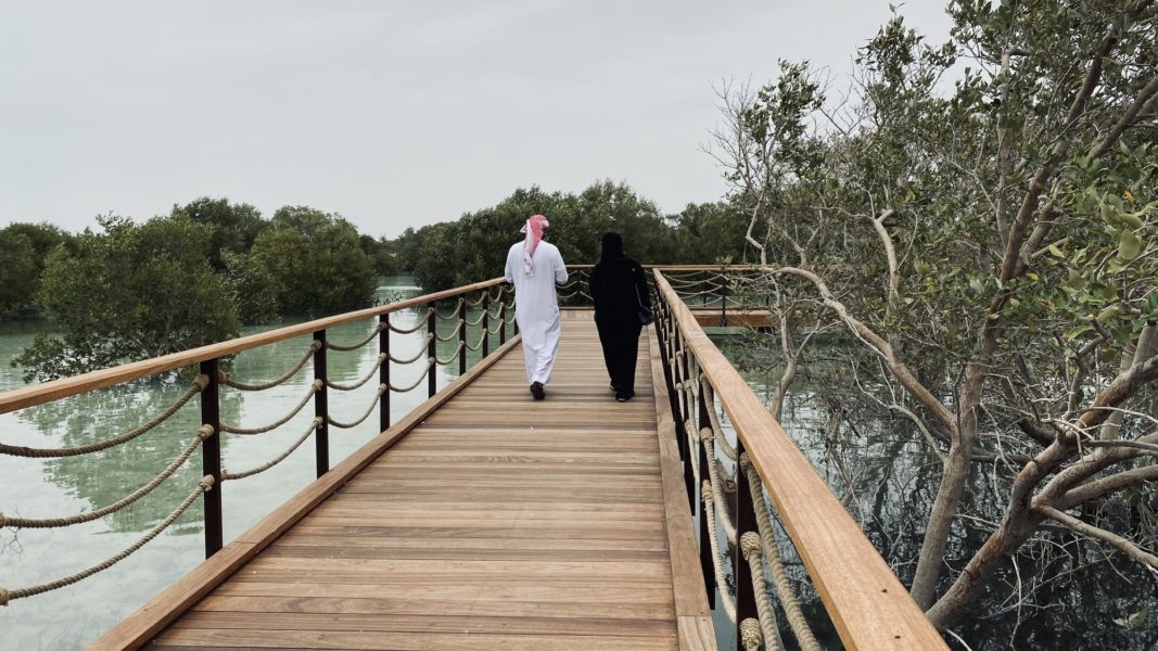 Adopt a mangrove in Abu Dhabi through the new Etihad Mangrove Forest programme