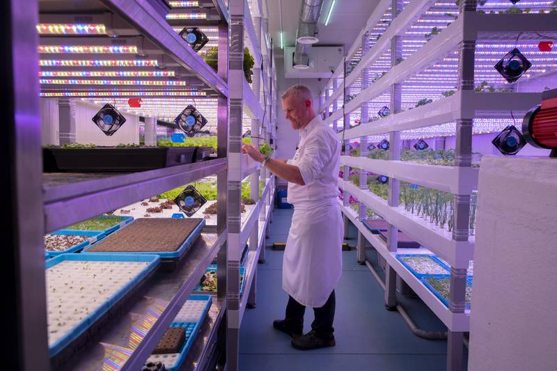 Dubai hotel opens eco-friendly vertical farm on site