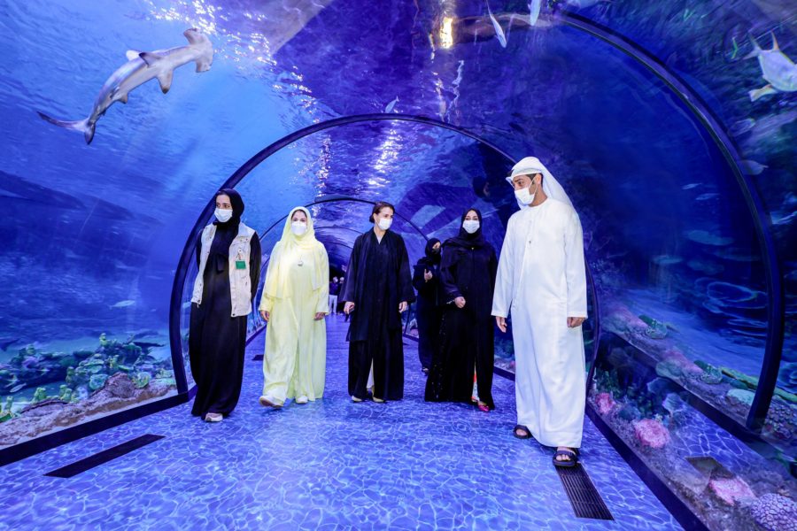 EAD highlights Abu Dhabi Marine biodiversity conservation and rehabilitation efforts