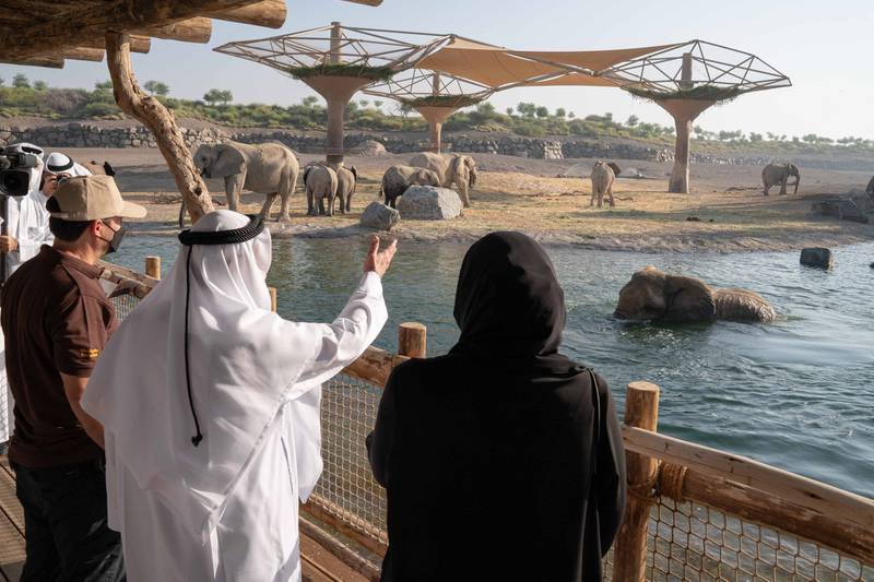 Sharjah Ruler watches elephants during safari tour