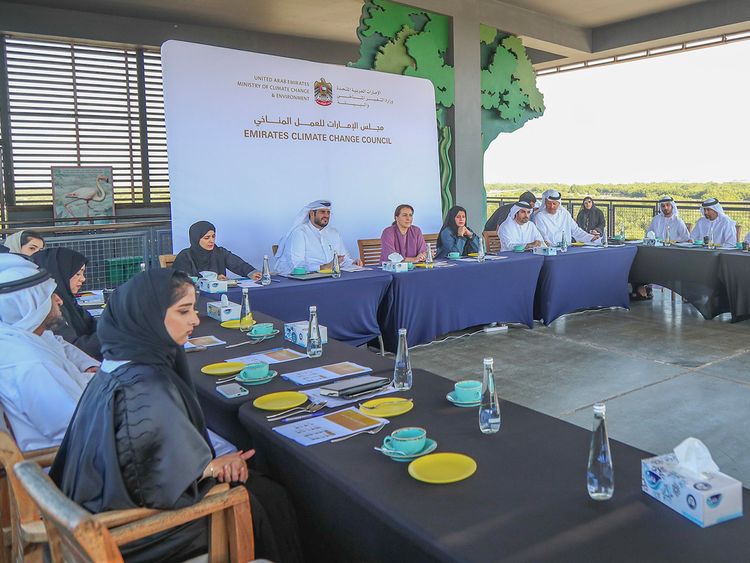 UAE to plant 100 million mangroves by 2030 through National Carbon Sequestration Project