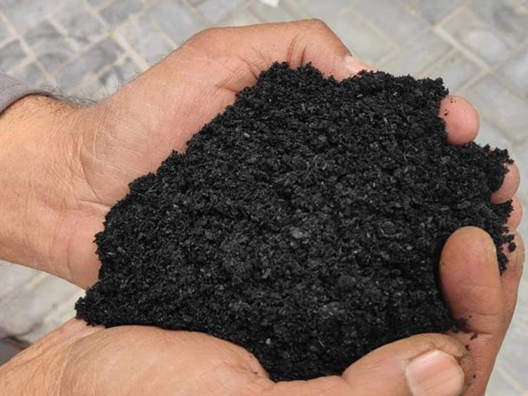 Now, ‘miracle soil’ biochar from camel dung in Dubai