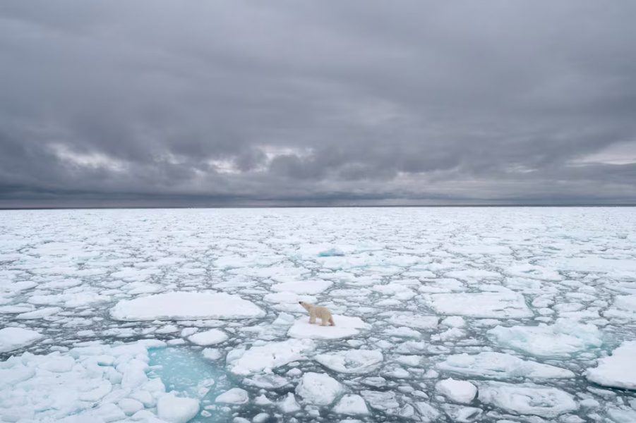 First ice-free summer day forecast for Arctic Ocean by 2030s