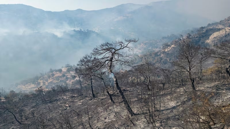 Climate change fuels ‘vicious cycle’ of pollution and wildfires