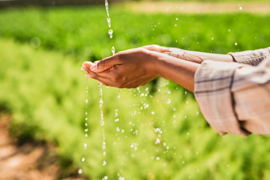 A simpler, more efficient device for harvesting water from the air