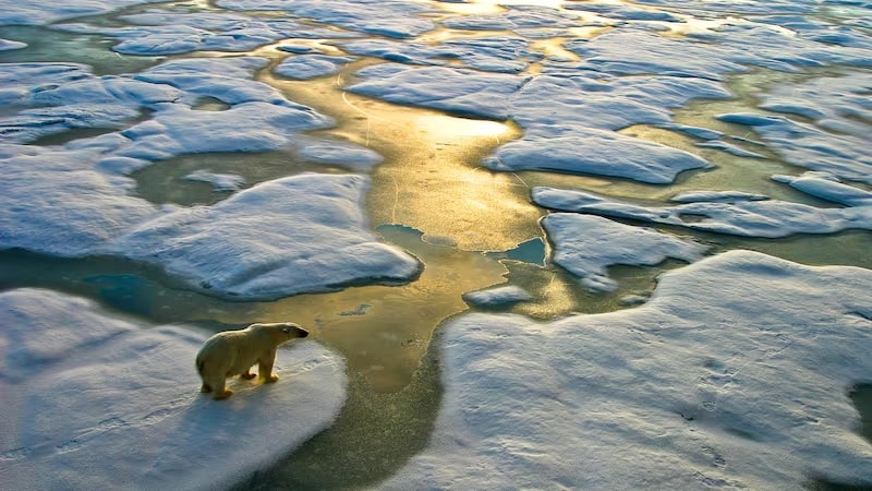 World ‘teetering on planetary tightrope’ as global warming set to hit 3.1°C this century, UN warns