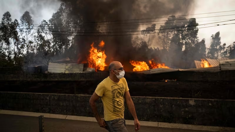 World entering ‘critical and unpredictable’ phase of climate crisis