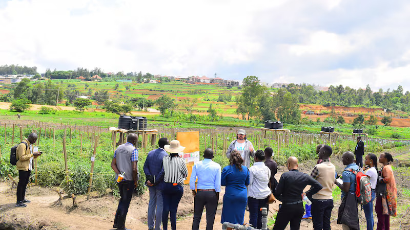 Farmers overcome growing pains in bid to defeat climate change