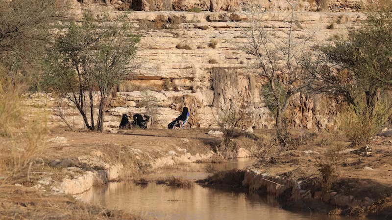 Economic cost of desertification laid bare as Cop16 talks to begin in Riyadh