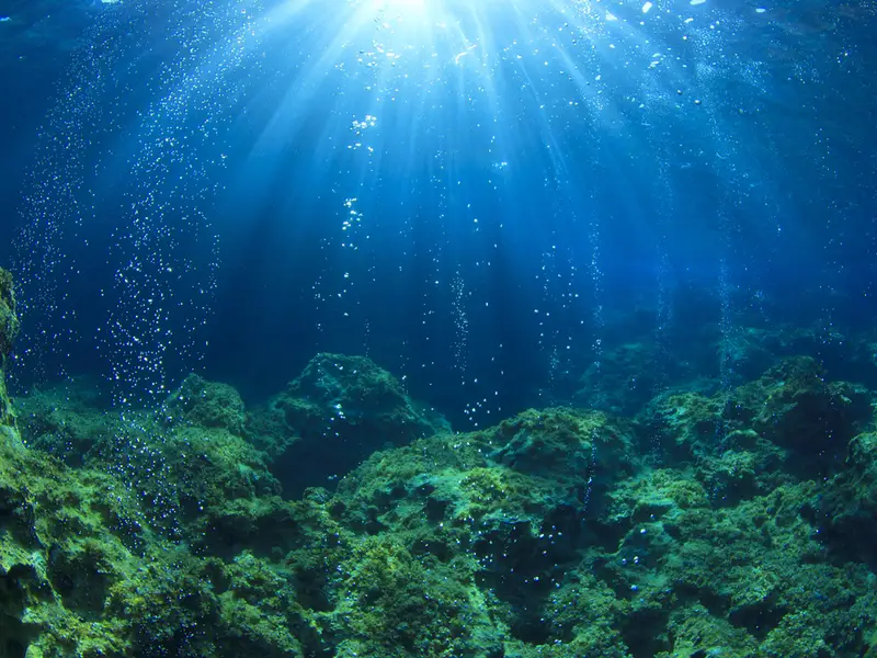 Ocean density identified as a key driver of carbon capture by marine plankton