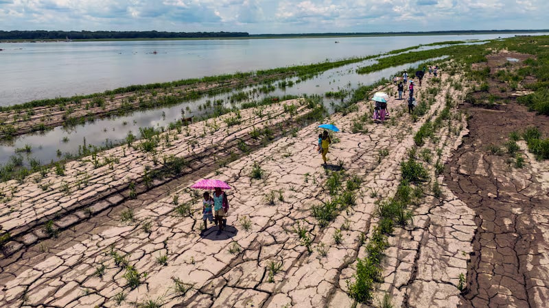 $12 billion pledged to tackle land degradation and drought at Cop16 in Riyadh