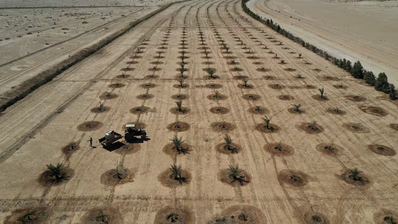 Billions face arid future as climate change turns land to desert