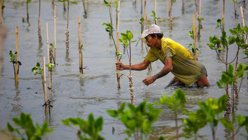 Environmental damage ‘will leave $25 trillion a year dent in global economy’