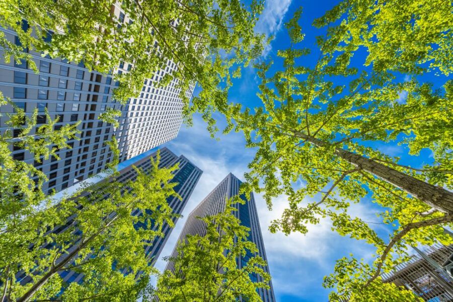 How loss of urban trees affects educational outcomes