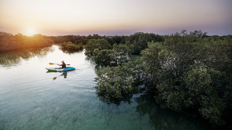 Ecotourism drive embraced by UAE as travellers focus on sustainability